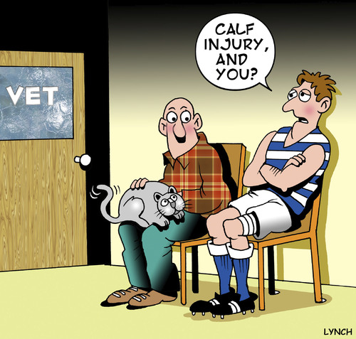 Cartoon: calf injury (medium) by toons tagged football,injury,vetenarian,vet,cats