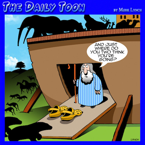 Cartoon: Crocs (medium) by toons tagged crocs,shoes,noah,ark,crocs,shoes,noah,ark