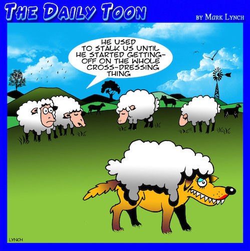 Cartoon: Cross dresser (medium) by toons tagged cross,dressing,wolf,in,sheeps,clothing,wolves,drag,queen,animals,sheep,cross,dressing,wolf,in,sheeps,clothing,wolves,drag,queen,animals,sheep