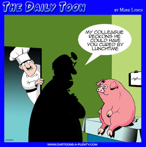 Cartoon: Cured ham (medium) by toons tagged diagnosis,chefs,pigs,ham,cured,disease,dinner,diagnosis,chefs,pigs,ham,cured,disease,dinner