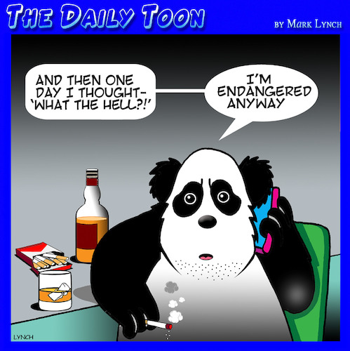 Cartoon: Endangered species (medium) by toons tagged panda,endangered,animals,smoking,heavy,drinker,panda,endangered,animals,smoking,heavy,drinker