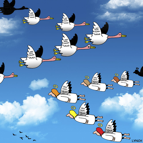 Cartoon: flying by (medium) by toons tagged angels,heaven,birds,flying,in,formation,geese,fly,south,for,the,winter,god,wings,religion
