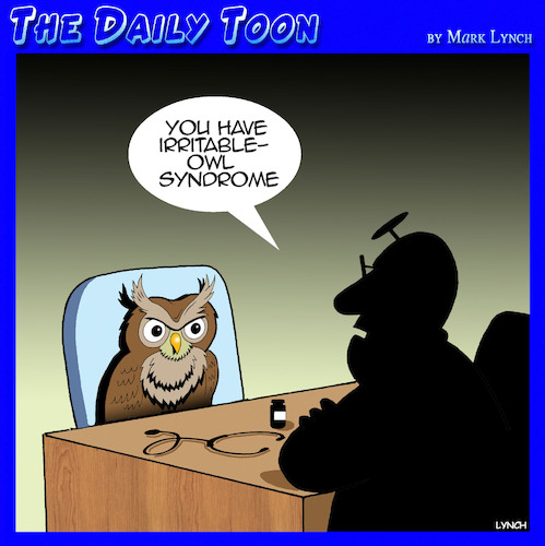Cartoon: Irritable bowel syndrome (medium) by toons tagged owls,irritable,bowel,syndrome,owls,irritable,bowel,syndrome