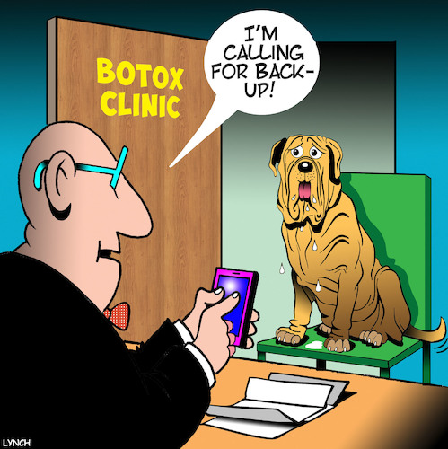 Cartoon: Mastiff dog (medium) by toons tagged botox,mastiff,dogs,wrinkly,animals,liposuction,plastic,surgery,call,for,backup,botox,mastiff,dogs,wrinkly,animals,liposuction,plastic,surgery,call,for,backup
