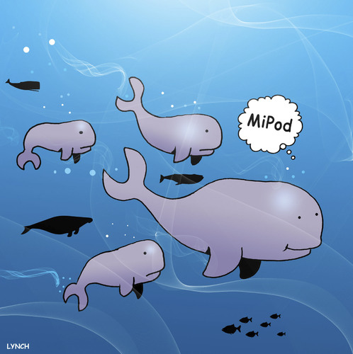 Cartoon: MiPod (medium) by toons tagged whales,ipod,ipad,itunes,fish,whaling,whales,ipod,ipad,itunes,fish,whaling