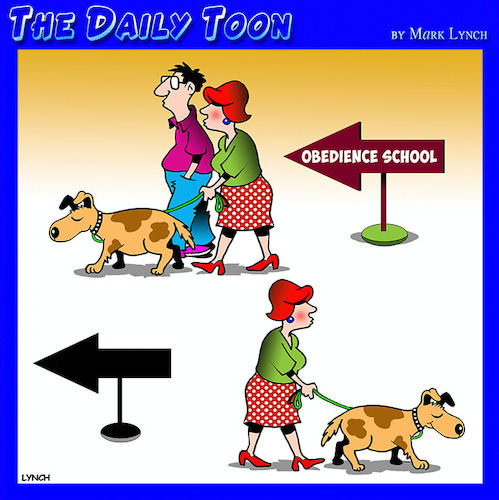 Cartoon: Obedience school (medium) by toons tagged husbands,obedience,school,dogs,training