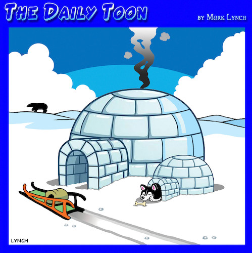 Cartoon: Pet dogs (medium) by toons tagged igloo,innuits,husky,working,dog,snow,sleds,sled,igloo,innuits,husky,working,dog,snow,sleds,sled