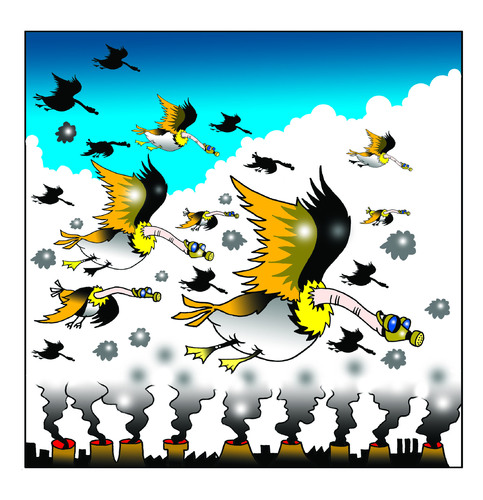 Cartoon: polluted geese (medium) by toons tagged environment,global,warming,geese,birds,chimney,stacks,greenhouse,effect,pollution,gas,mask,emmissions,trading