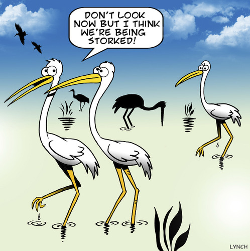Cartoon: Storked (medium) by toons tagged stalking,followed,storks,birds,romance