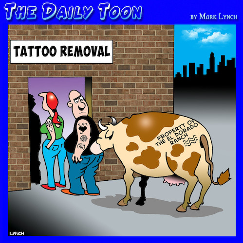 Cartoon: Tattoo removal (medium) by toons tagged cows,tattoos,cow,branding,tattoo,removal,farm,animals,cows,tattoos,cow,branding,tattoo,removal,farm,animals