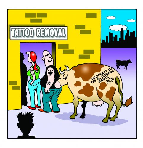 Cartoon: tattoo removal (medium) by toons tagged tattoos,removal,body,piercing,cows,animals