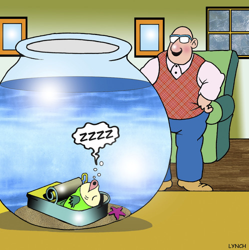 Cartoon: The sleeper (medium) by toons tagged sardines,fish,tank,pets