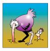 Cartoon: bummer (small) by toons tagged ostrich,self,help,examination,animals,birds,flightless,head,in,the,sand