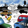 Cartoon: chicken crosses the road (small) by toons tagged why,did,the,chicken,cross,road,gags,chooks,hens,farm,animals,questions,of,life