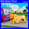 Cartoon: Gay Pride (small) by toons tagged pride,day,of,lions,rainbow,flag
