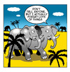 Cartoon: I Forget (small) by toons tagged animals,elephants,memory,africa,test,forgetfulness,brain,matter,loss