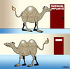 Cartoon: implants (small) by toons tagged implants,plastic,surgery,surgical,cosmetic,boob,job,camels,bust,enhancement,animals