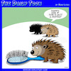 Porcupine love