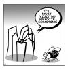 Cartoon: spider website (small) by toons tagged spiders,insects,flys,website,computers,animals