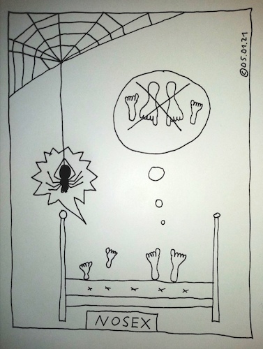 Cartoon: NOSEX (medium) by Müller tagged imbett,inbed,spinne,spider