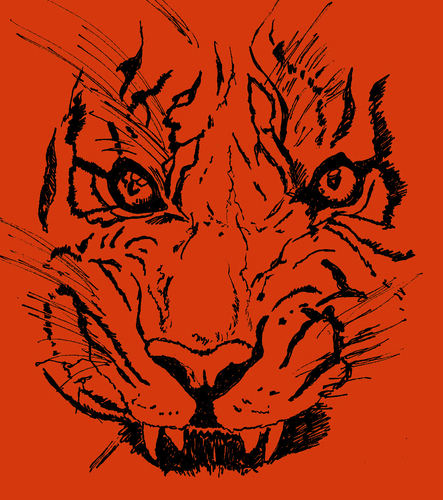 Cartoon: Angry Pussy (medium) by Toonstalk tagged tiger,cat,wildlife,africa,siberia,protected,circus,predator,feline,mammal,hunter