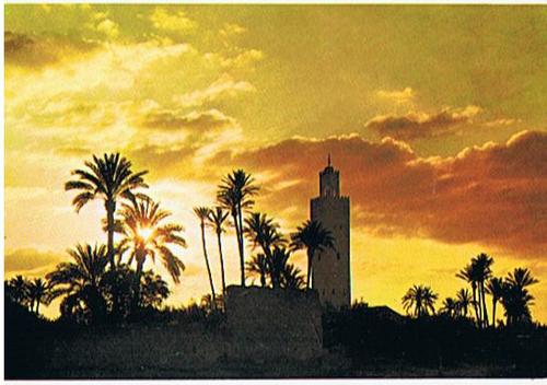 Cartoon: La Koutoubia Sunset - Marrakech (medium) by RnRicco tagged maroc,marocco,marokko,sunset,arabic,africa,palms,ricco