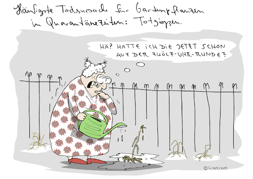 Cartoon: Quarantäne (medium) by H Mercker tagged quarantäne,corona,corvid,tagesaktuell,mercker,cartoon,gießen,blumen,garten,einsamkeit,dame,oma,aktuell,quarantäne,corona,corvid,tagesaktuell,mercker,cartoon,gießen,blumen,garten,einsamkeit,dame,oma,aktuell