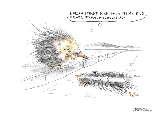 Cartoon: Spiegelbild (medium) by H Mercker tagged igel,herbst,jahreszeit,auto,straße,überfahren,melancholie,nachdenken,nachdenklich,igel,herbst,jahreszeit,auto,straße,überfahren,melancholie,nachdenken,nachdenklich