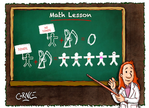 Cartoon: Math lesson (medium) by corne tagged math2022,organs,donor,health,education,death,teacher,math,lesson
