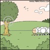 Cartoon: Unravelling (small) by Piero Tonin tagged sheep wool animal animals