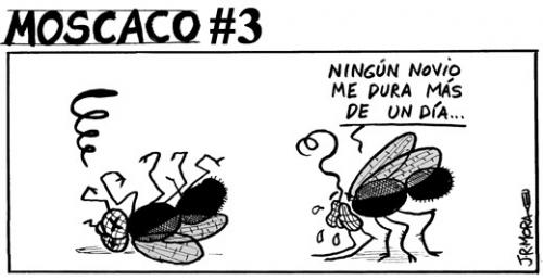 Cartoon: Moscas (medium) by jrmora tagged moscas,muerte,novio