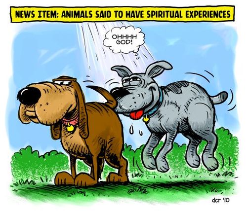 Cartoon: A dog gone spiritual experience (medium) by monsterzero tagged animals,dogs,religion,god