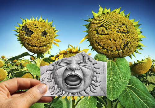 Cartoon: Pencil Vs Camera - 62 (medium) by BenHeine tagged spain,santiago,nature,shout,cry,baby,flowers,family,sunflower,sketch,augmented,surrealism,reality,imagination,photography,drawing,benheine,heine,ben,art,pencilvscamera,camera,vs,pencil