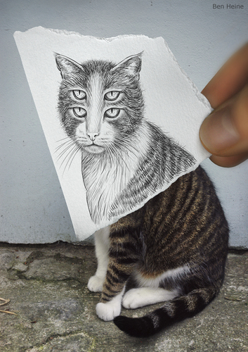 Cartoon: Pencil Vs Camera - 6 (medium) by BenHeine tagged pencil,vs,camera,traditional,digital,drawing,photography,ben,heine,sketch,dessin,cat,chat,wall,half,mise,en,abime,abyme,abysme,conceptual,new,art,series,eyes,optical,fur,pelage,illusion,animal