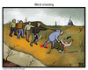 Cartoon: Blind shooting (small) by Farhad Foroutanian tagged gun,shooting,wapon,usa,terror,kill,blindness,politic