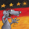 Cartoon: jaaaaaaaahhh! (small) by Uschi Heusel tagged weltmeister,ratte,ludwig,sterne,fußball