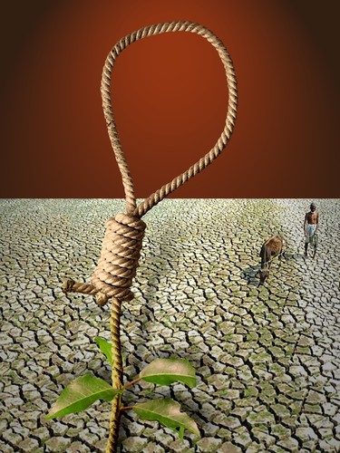 Cartoon: Farmers in India! (medium) by willemrasingart tagged india