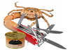 Cartoon: Crab (small) by willemrasingart tagged haute cuisine
