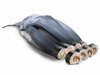 Cartoon: Sushi! (small) by willemrasingart tagged haute,cuisine