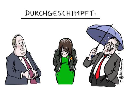 Gelbe Ordner von Pfohlmann, Politik Cartoon