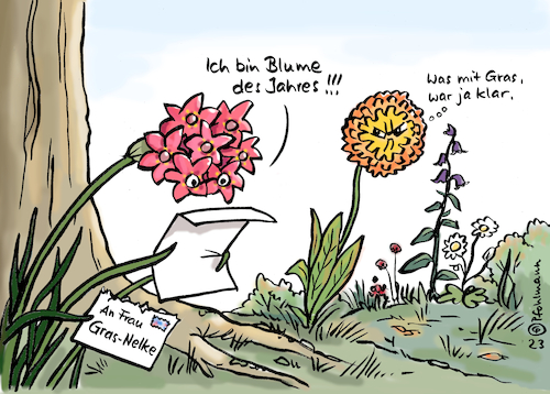 Cartoon: Grasnelke (medium) by Pfohlmann tagged natur,blume,wahl,grasnelke,blumedesjahres,artenschutz,gras,cannabis,cannabisfreigabe,hanf,kiffen,blumen,pflanzen,preis,auszeichnung,neid,ampel,natur,blume,wahl,grasnelke,blumedesjahres,artenschutz,gras,cannabis,cannabisfreigabe,hanf,kiffen,blumen,pflanzen,preis,auszeichnung,neid,ampel