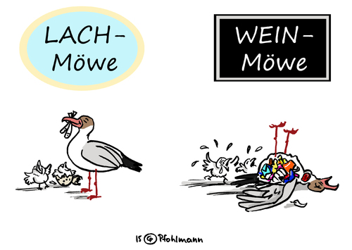 Lach- und Weinmöwe