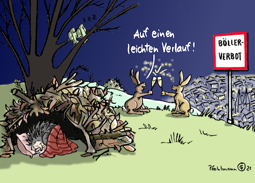 Cartoon: Leichter Silvester-Verlauf (medium) by Pfohlmann tagged corona,pandemie,silvester,feuerwerk,raketen,lärm,tiere,wildtiere,winterschlaf,igel,vögel,hasen,tierschutz,böller,böllern,böllerverbot,maßnahmen,corona,pandemie,silvester,feuerwerk,raketen,lärm,tiere,wildtiere,winterschlaf,igel,vögel,hasen,tierschutz,böller,böllern,böllerverbot,maßnahmen