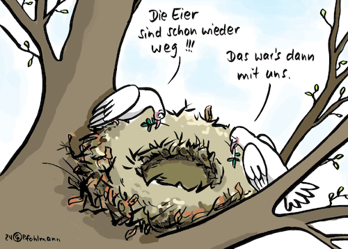 Cartoon: Taubeneierklau (medium) by Pfohlmann tagged krieg,frieden,friedenstaube,tauben,eier,ostereier,diebstahl,ukraine,russland,gaza,israel,gewalt,artensterben,frühling,nest,vogelnest,krieg,frieden,friedenstaube,tauben,eier,ostereier,diebstahl,ukraine,russland,gaza,israel,gewalt,artensterben,frühling,nest,vogelnest