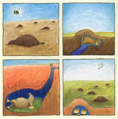 Cartoon: A book about Mol and Sheep (medium) by mattheaodolphie tagged nature,children,book,fun,animal,mol,sheep,schaap,