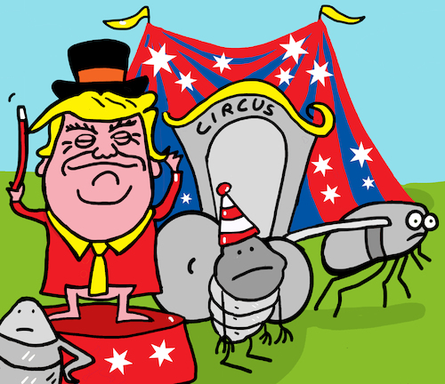Cartoon: trump circus (medium) by sabine voigt tagged trump,circus,politics,usa,government,tariffs,trade,laws,war,flea,trump,circus,politics,usa,government,tariffs,trade,laws,war,flea