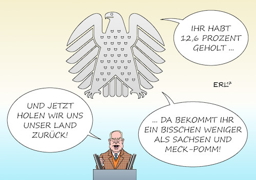 AfD Bundestag I