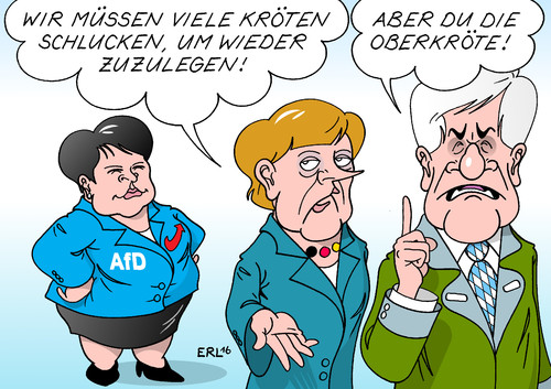 AfD CDU CSU