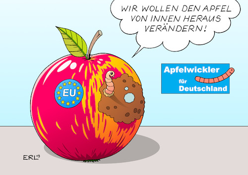 AfD Europawahl