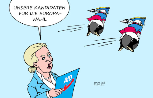 AfD Kandidaten Europawahl